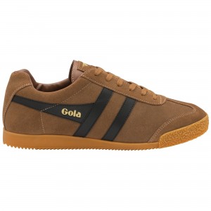 Basket Gola Classics Daim Homme Marron | 1694-EQSUM