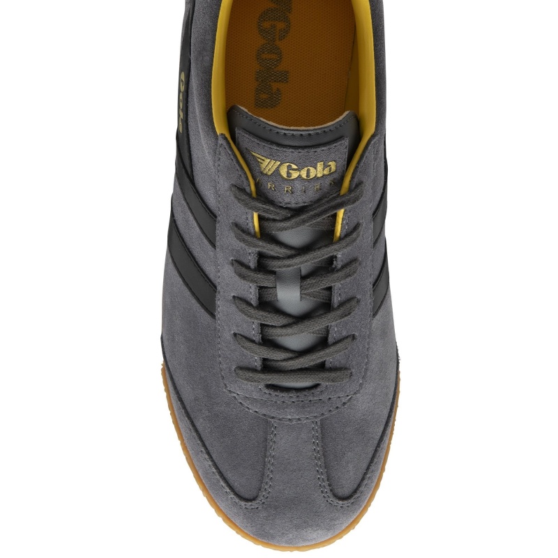 Basket Gola Classics Daim Homme Grise | 0869-JVHOK