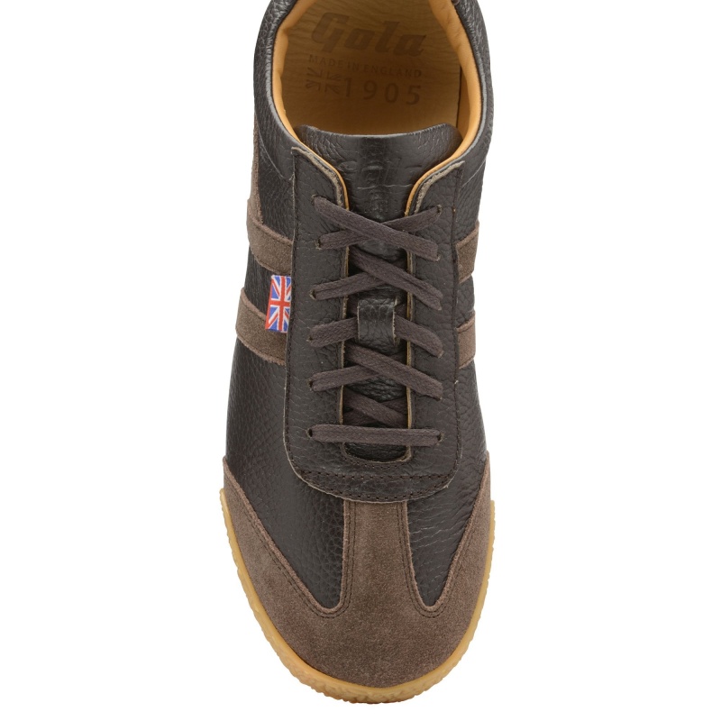 Basket Gola Made in England Homme Marron | 3042-GQHXV